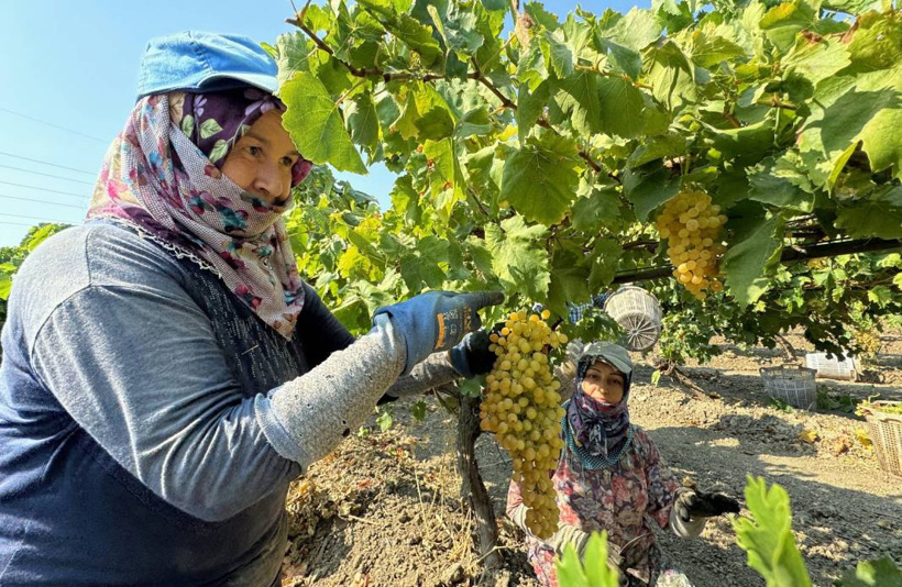 12 aylık emeğin sonuna gelindi: 500 milyon dolar gelir bekleniyor - Fotoğraf: 7